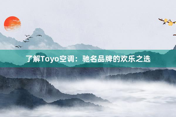 了解Toyo空调：驰名品牌的欢乐之选